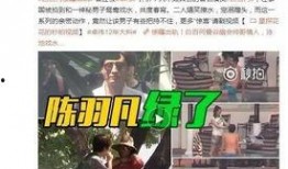 雷子爆料袁贝贝视频,揭秘背后惊人内幕