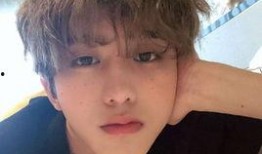 娱乐圈爆料客企鹅,揭秘明星幕后故事