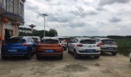 娱乐718车友会吃瓜,揭秘车圈吃瓜大事件